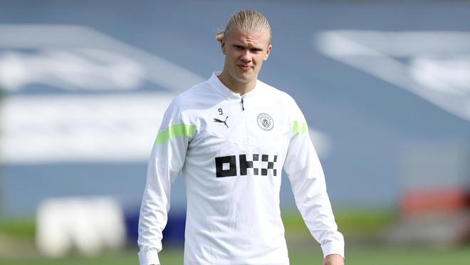 给后来者树 给后来者树